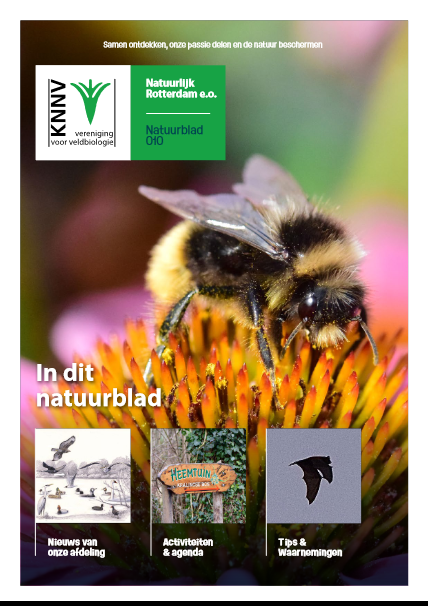 Afbeelding van Natuurblad, het afdelingsblad voor leden van KNNV afd. Natuurlijk Rotterdam