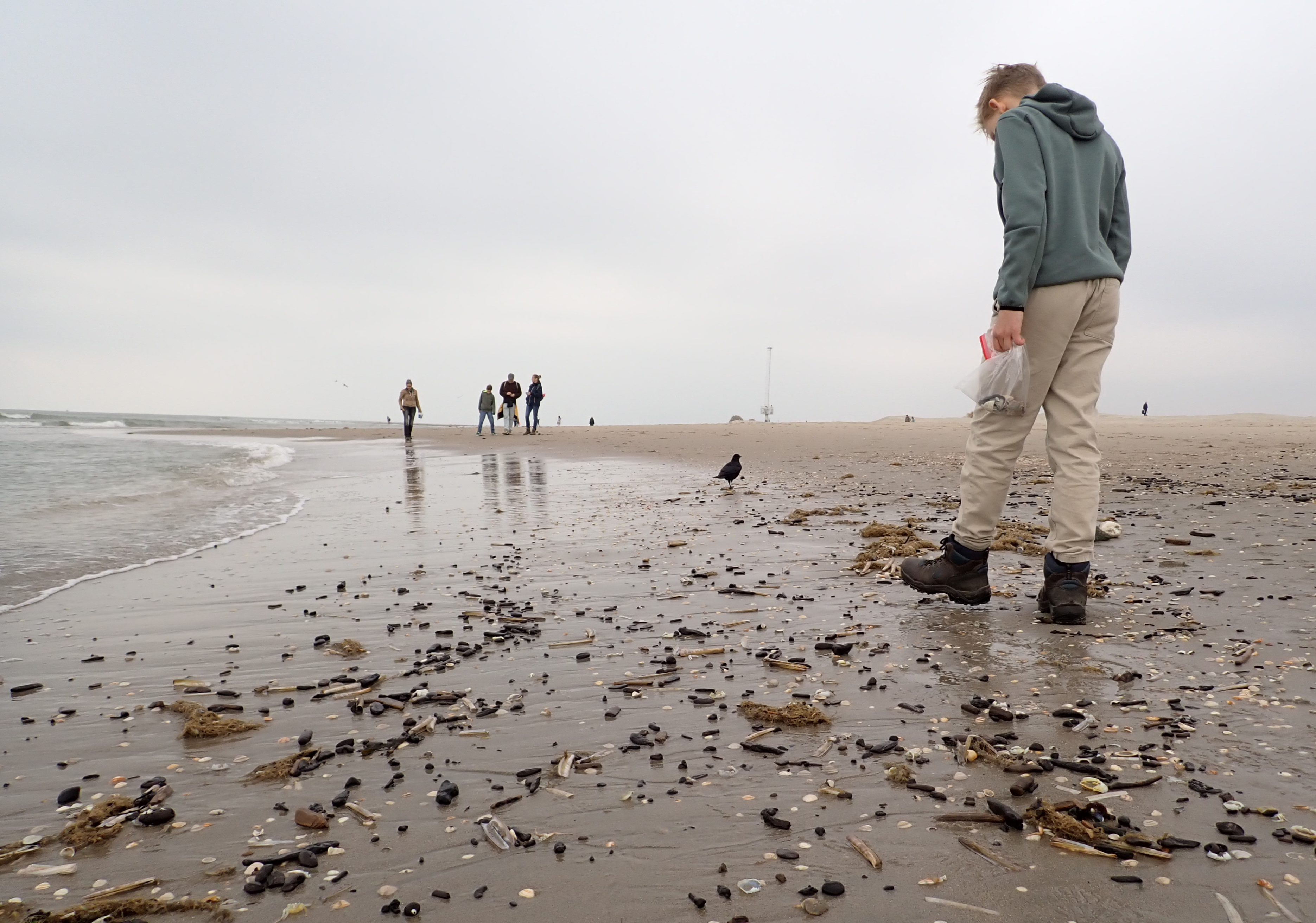 Veel fossielen gevonden tijdens strandexcursie!